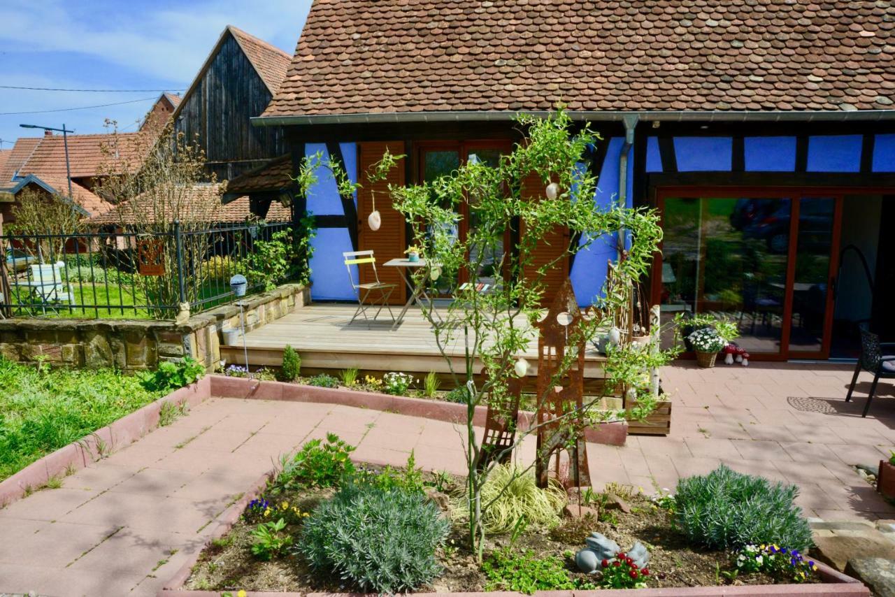 Le Clos Bleu - Gite Rural Schillersdorf Εξωτερικό φωτογραφία